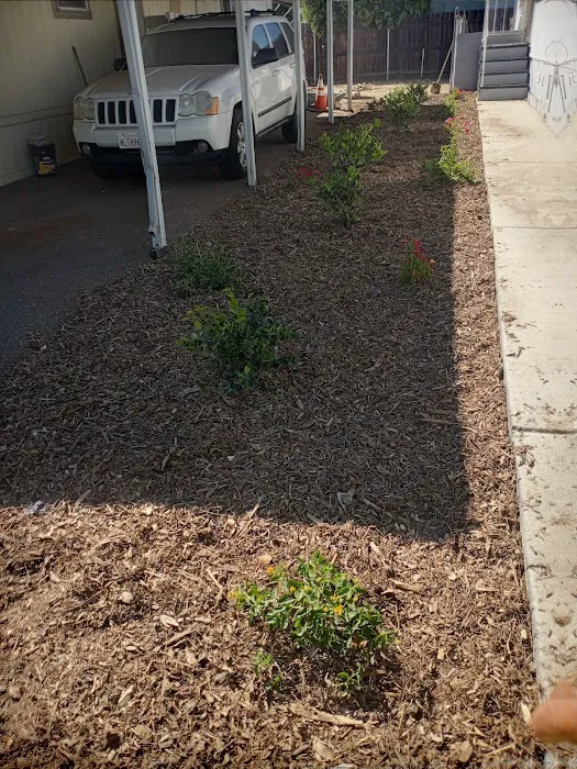 Upland Cascade Mobile Home Park Picture 4