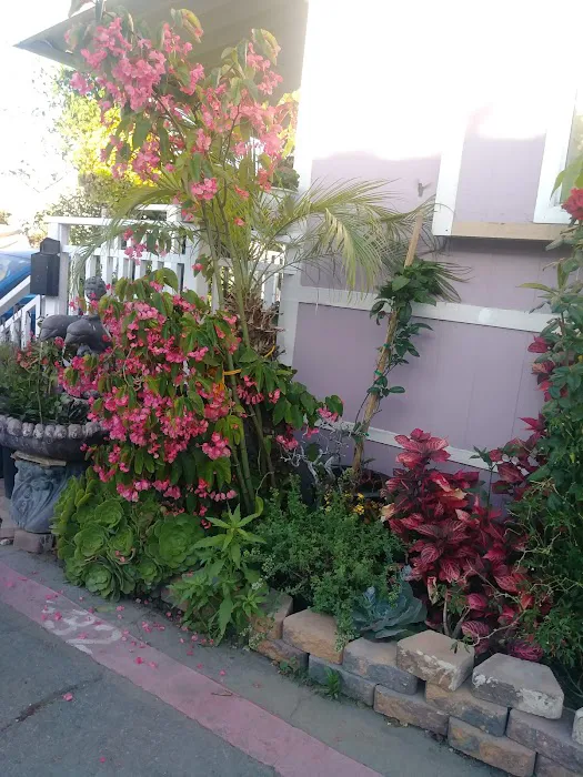 Foothill Mobile Park Picture 5