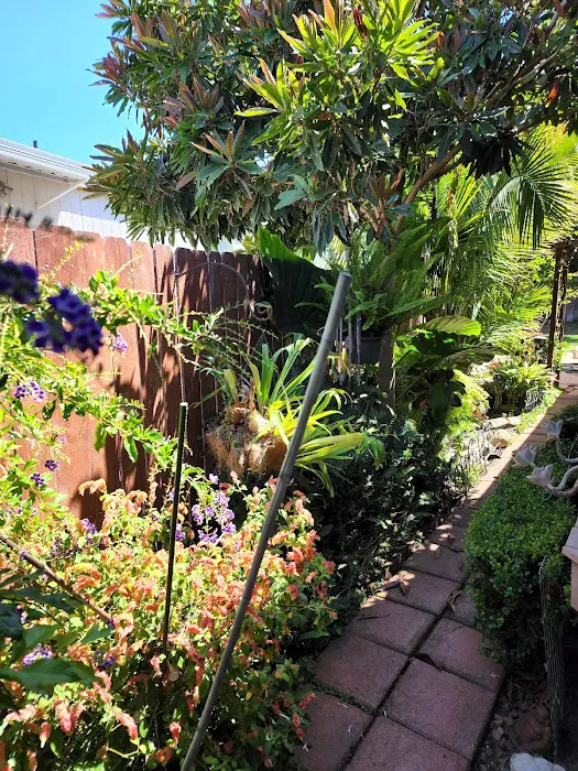 Rancho Del Avion Picture 10