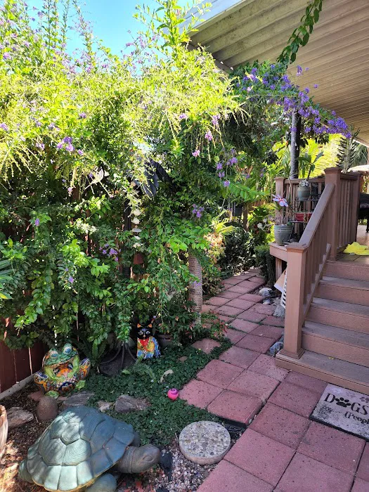 Rancho Del Avion Picture 4