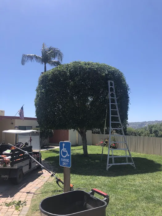 Capistrano Terrace Picture 4