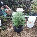 Newport Terrace Mobile Home Park