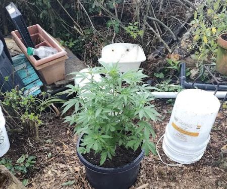 Newport Terrace Mobile Home Park