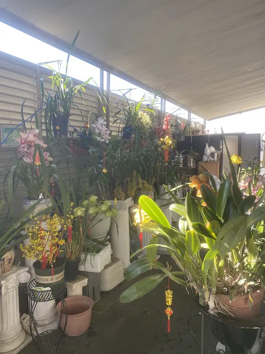 Americana Mobile Home Estates Picture 7