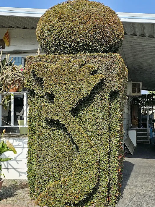Mission Del Amo Mobile Home Picture 9