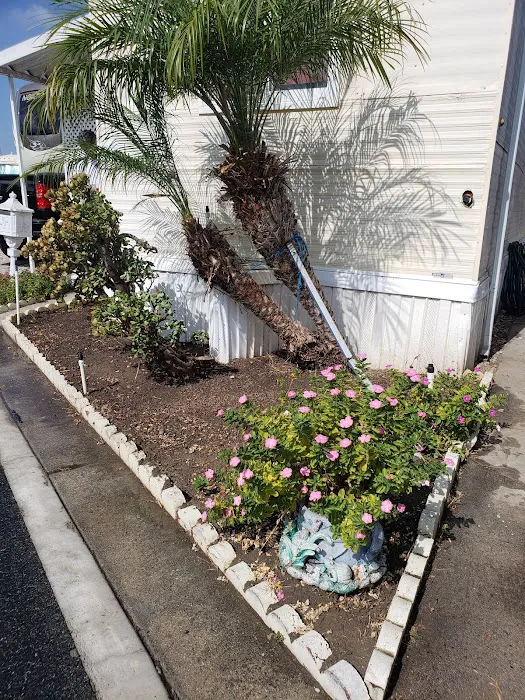 Rosewood Mobile Home & RV Park Picture 6