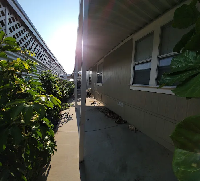 Magic Lamp Mobilehome Community Picture 5