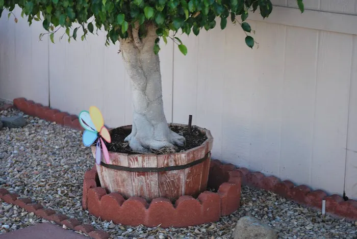 Magic Lamp Mobilehome Community Picture 7