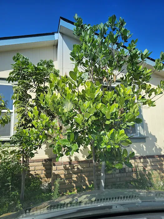 Villa Capri Mobile Estates Picture 10