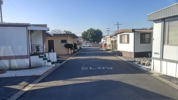 Villa Capri Mobile Home Park Picture 4