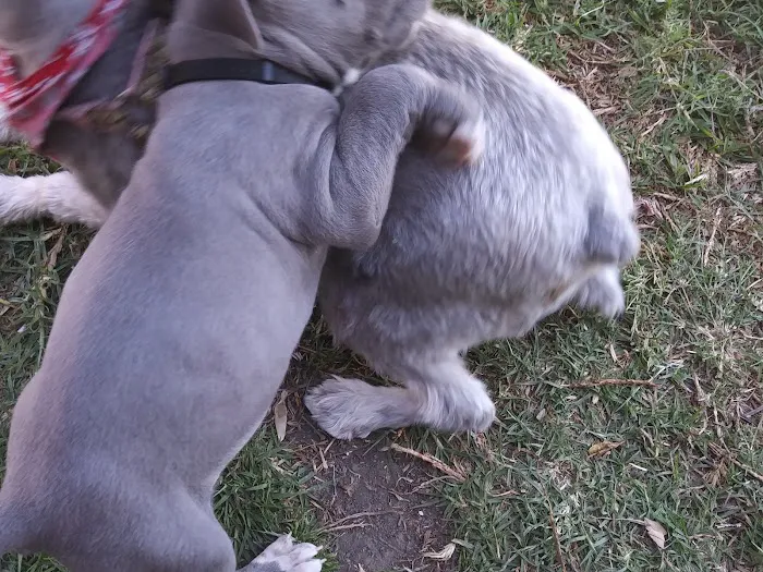 Magnolia Trailer Park Picture 4