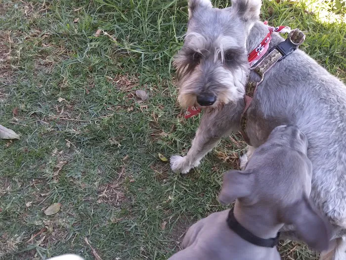 Magnolia Trailer Park Picture 3