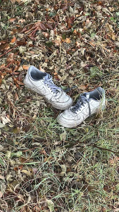 Magnolia Trailer Park Picture 1