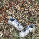 Magnolia Trailer Park