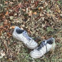 Magnolia Trailer Park ico