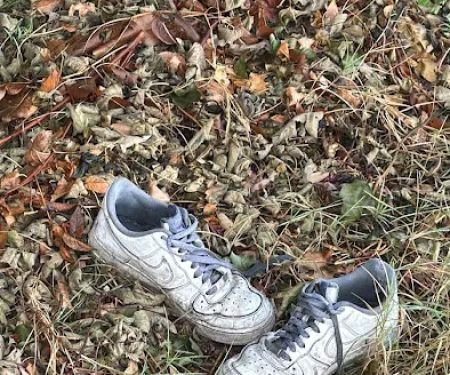 Magnolia Trailer Park