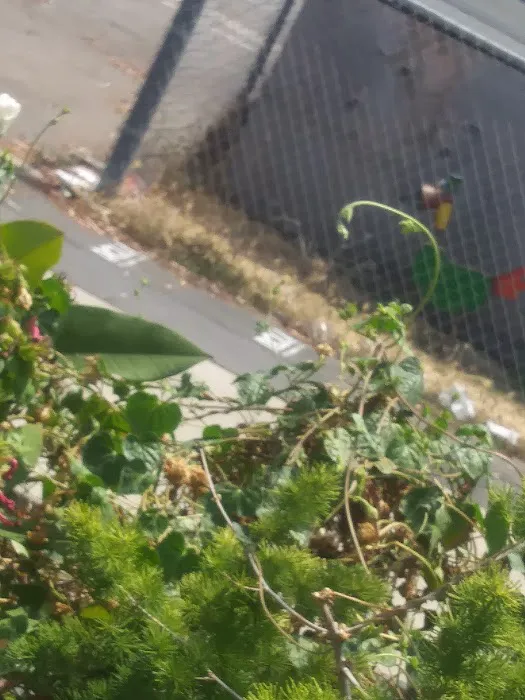 Vagabond Villa Mobile Park Picture 3