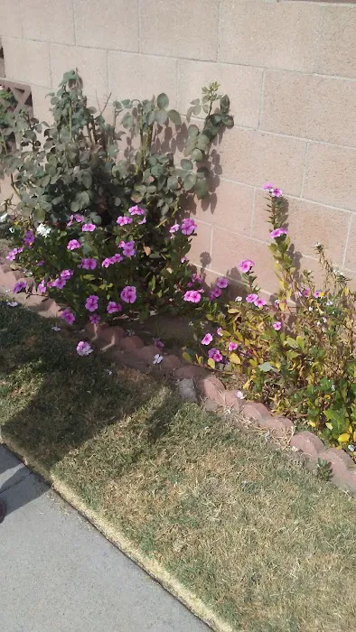 Capri Gardens Mobile Home Community Picture 3