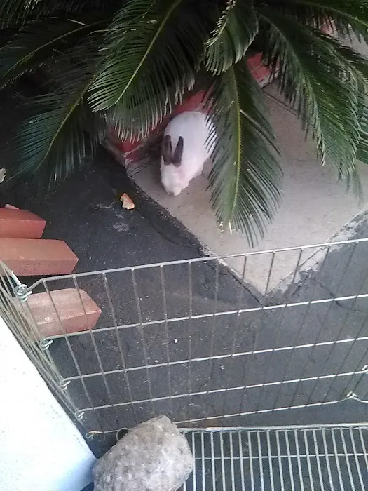 Tropic Parks LLC Picture 3