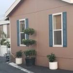 Tree Lane Mobile Park