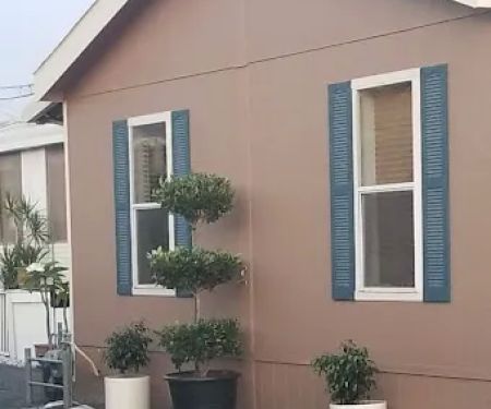 Tree Lane Mobile Park