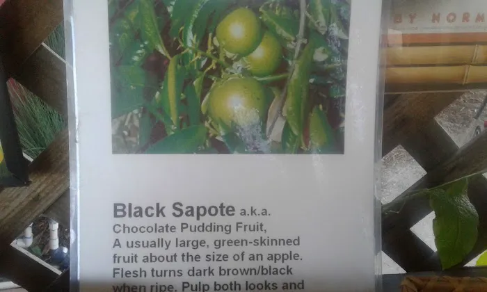 Caravan Mobile Home Park Picture 1