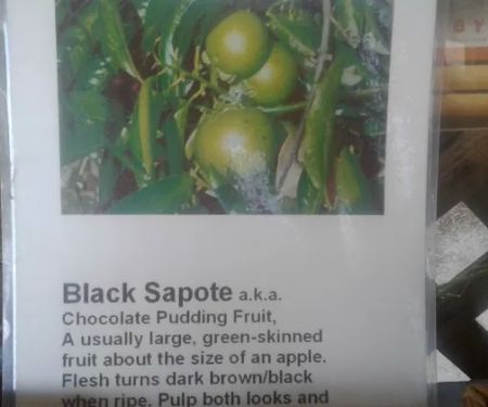 Caravan Mobile Home Park