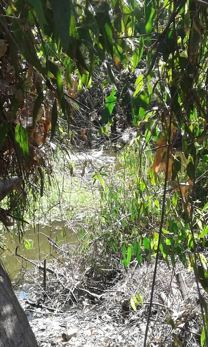 Caravan Mobile Home Park Picture 10