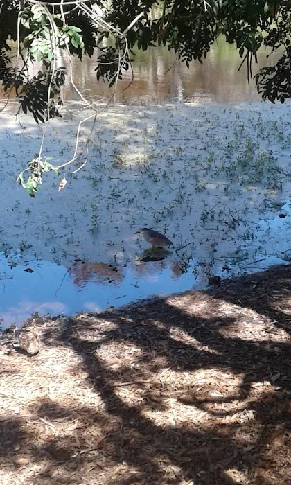 Caravan Mobile Home Park Picture 6