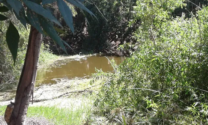 Caravan Mobile Home Park Picture 9