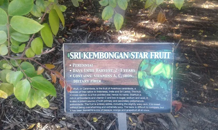 Caravan Mobile Home Park Picture 4