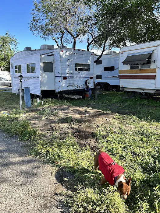 Roadrunner RV Park Picture 9