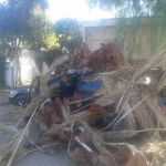 Aloha Mobile Home Park