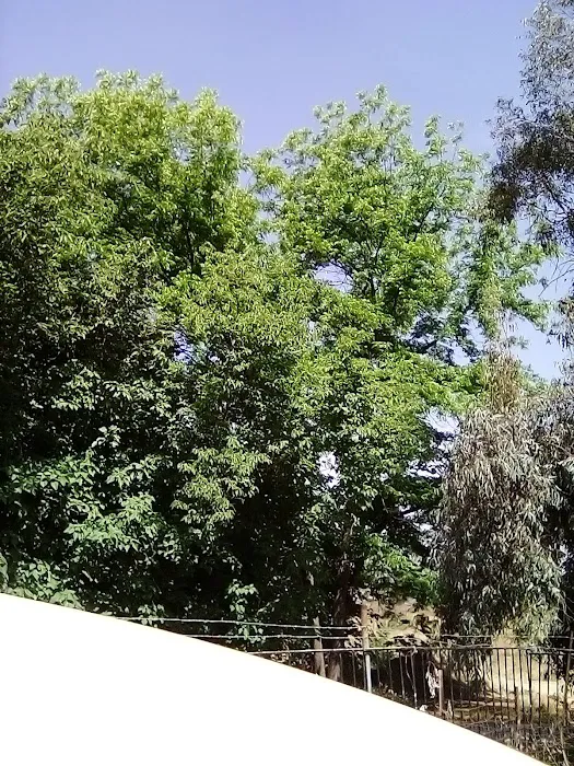 Aloha Mobile Home Park Picture 4