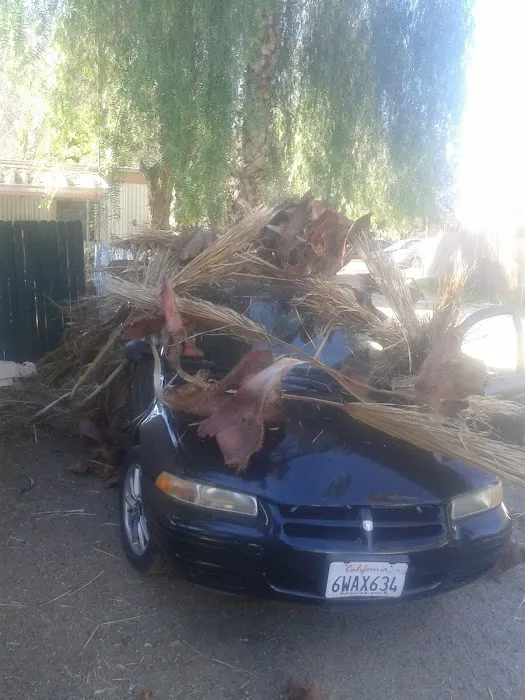 Aloha Mobile Home Park Picture 2