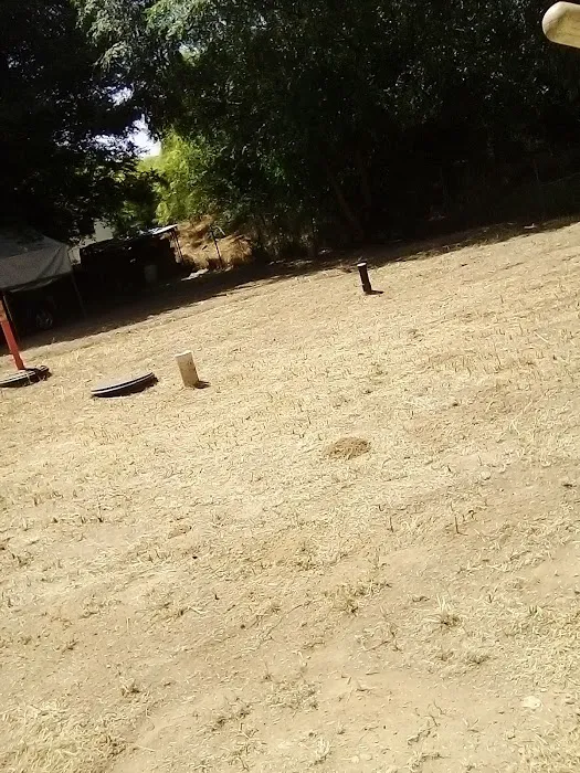 Aloha Mobile Home Park Picture 6