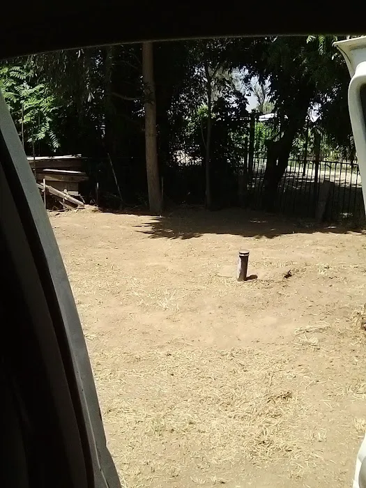 Aloha Mobile Home Park Picture 8