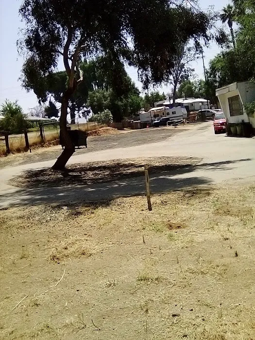 Aloha Mobile Home Park Picture 7