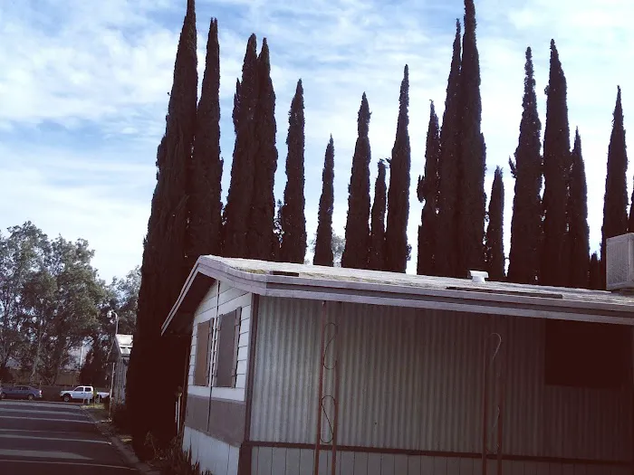 Bloomington Mobile Home Park Picture 6