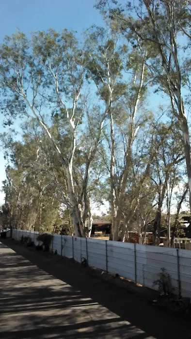 Orangewood Park-Mobile Homes Picture 1