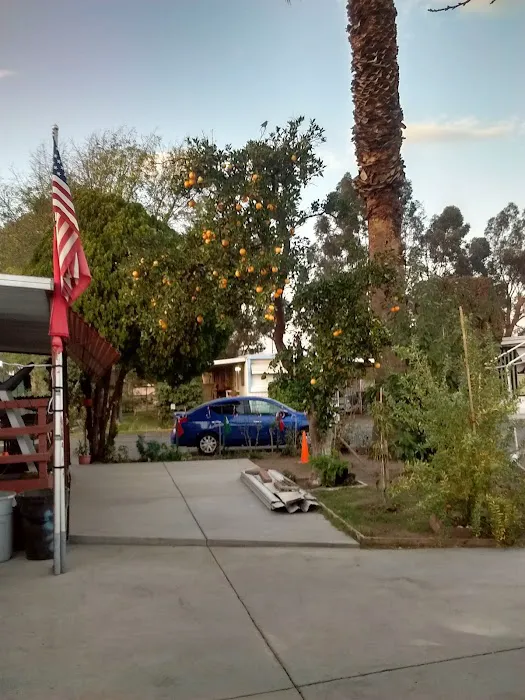 Orangewood Park-Mobile Homes Picture 6