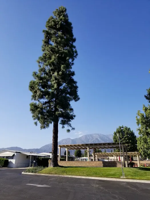 Chaparral Heights Mobile Home Park Picture 9