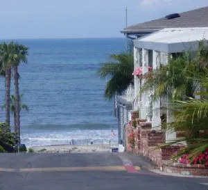 Palm Beach Park Picture 1
