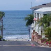 Palm Beach Park ico