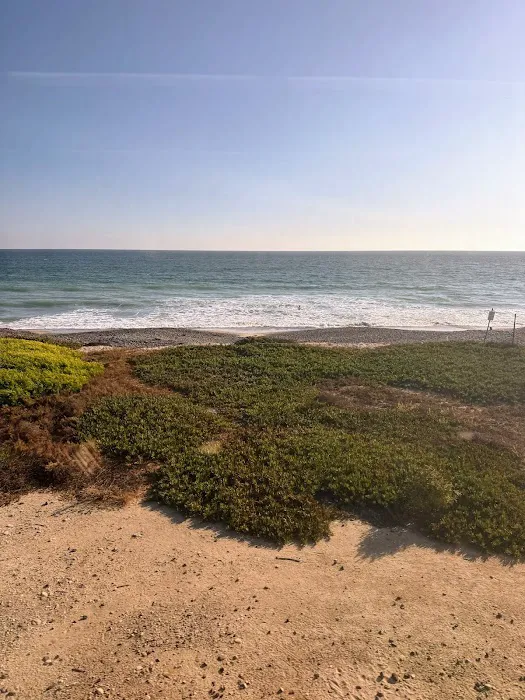 Palm Beach Park Picture 4