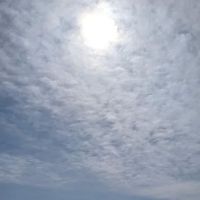 Waterfront RV Park ico