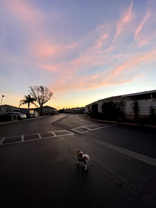 Fountain Valley Estates Mobile Home Park Picture 2