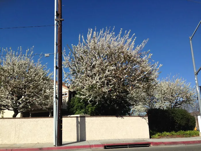 Los Amigos Mobile Home Park Picture 4