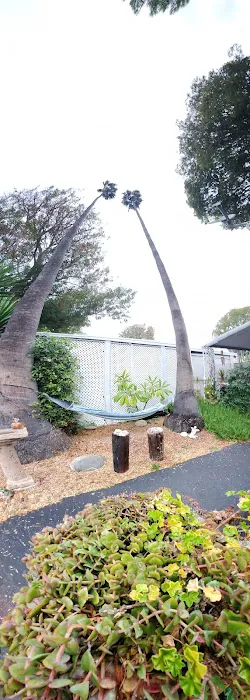 Beachview MHC Picture 1