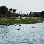 Del Prado Mobile Home Park